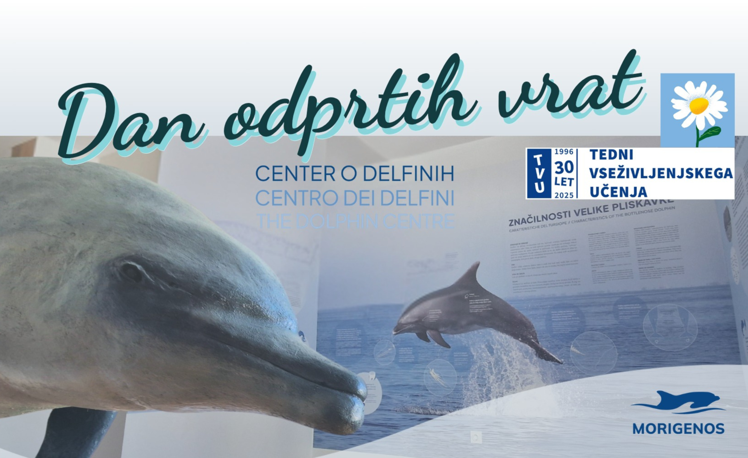 Vabljeni na dan odprtih vrat v Center o delfinih