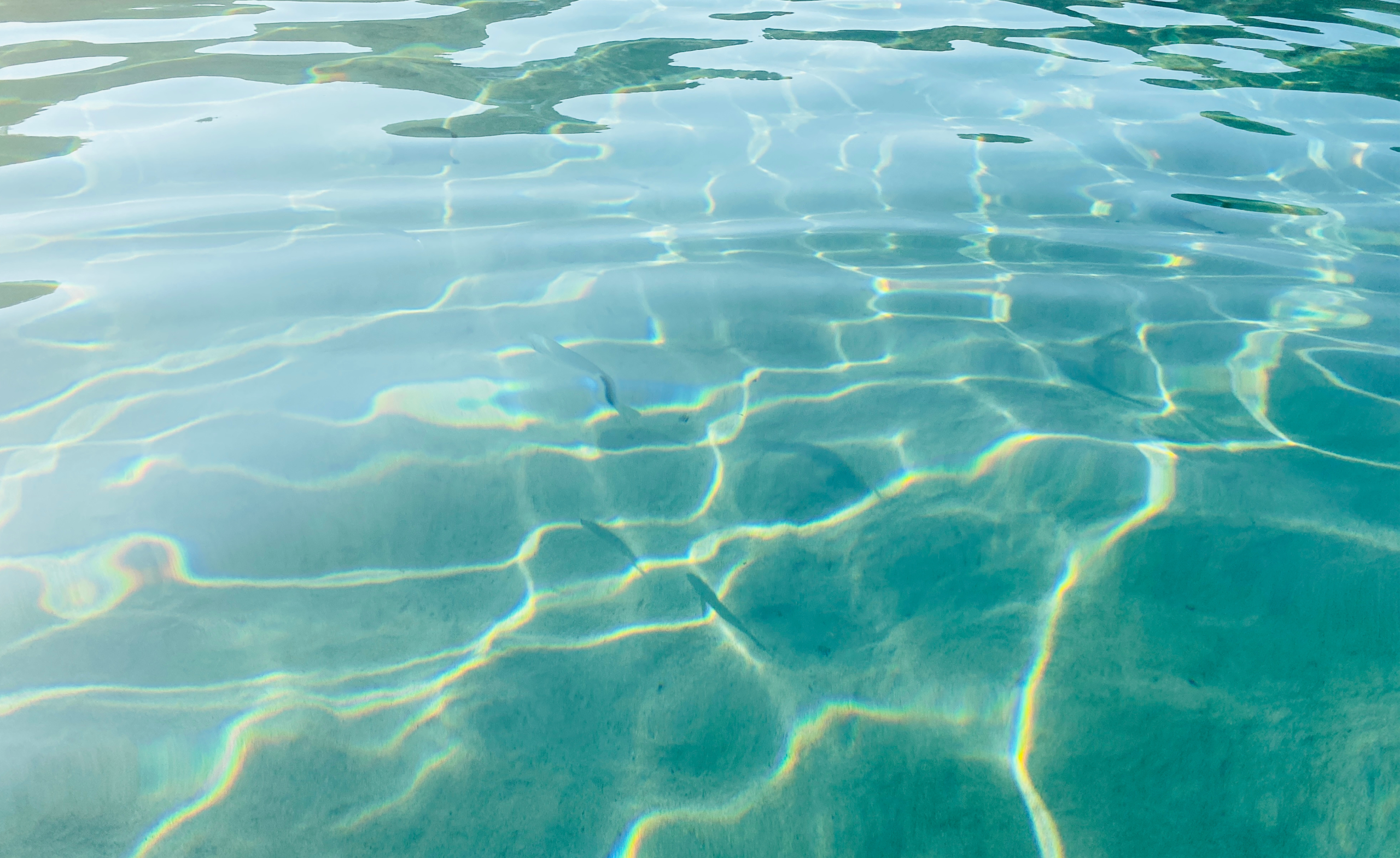 6 preprostih korakov do čiste obale