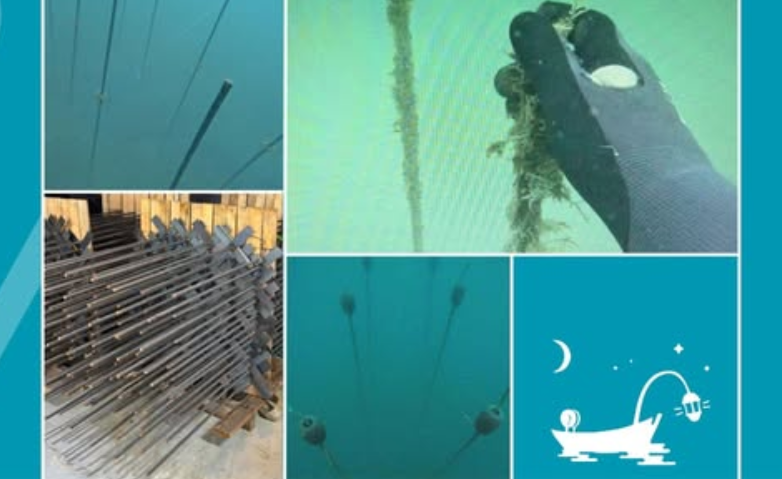 Projekt: Inostri – ostrige na inovativen način