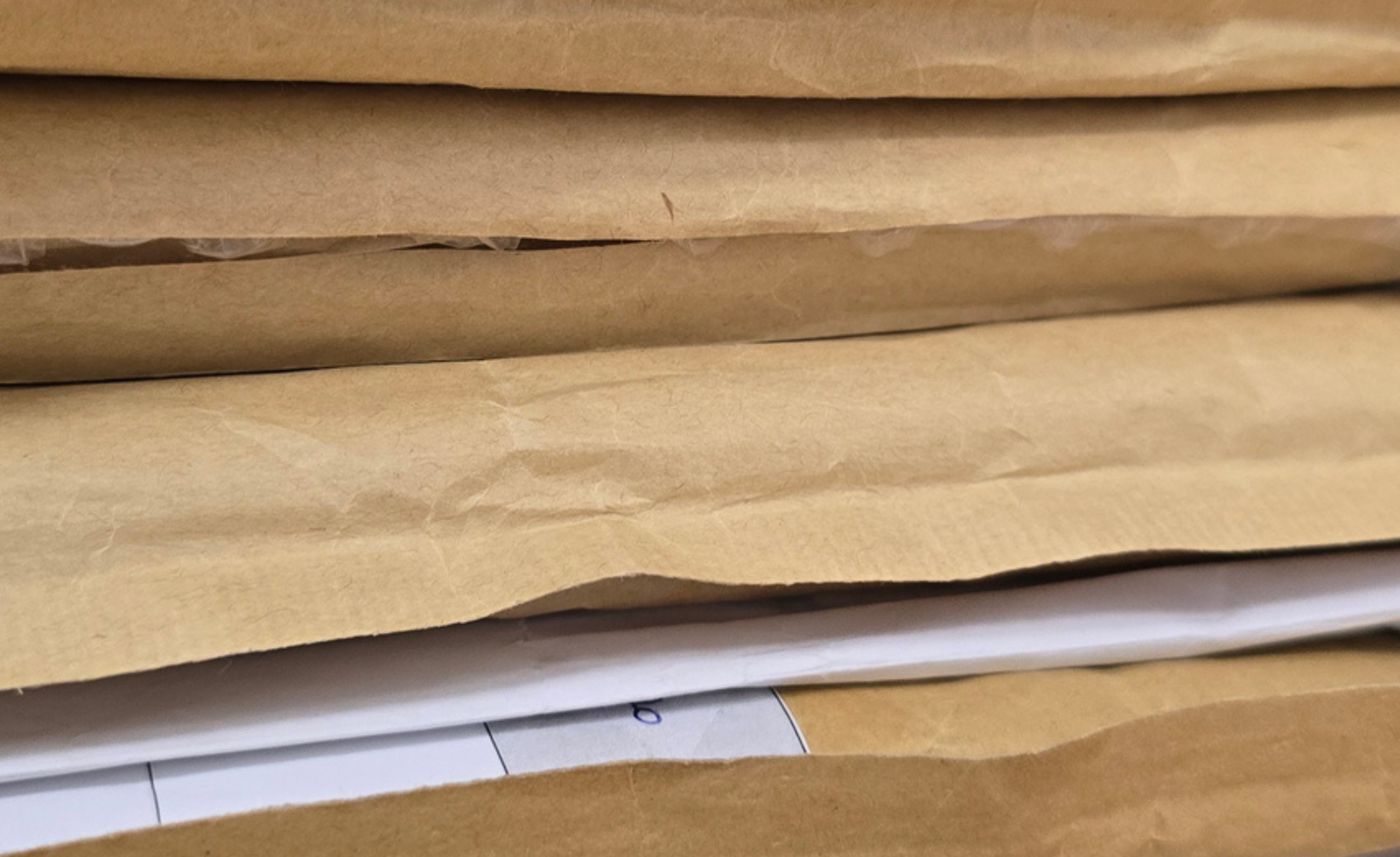 Na 2. javni poziv LASR Feral prispelo 13 vlog