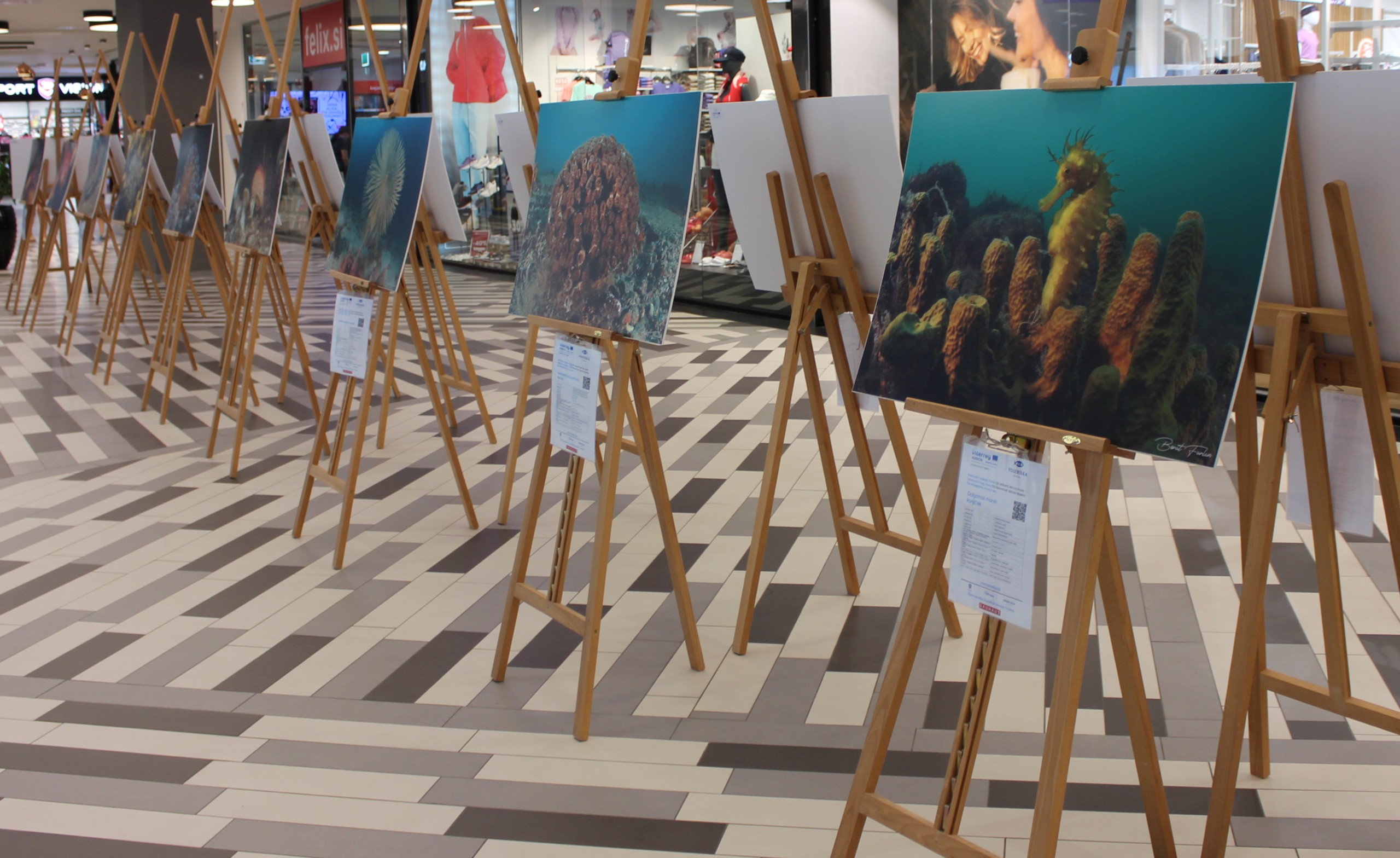 V Planetu Koper odprli razstavo o podvodnih fotografij Prebivalci tvojega morja
